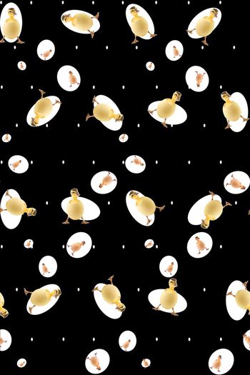 378173-波点萌萌哒小黄鸭