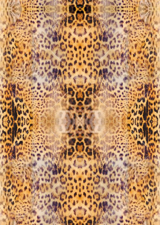 豹纹印花华亿平台图片