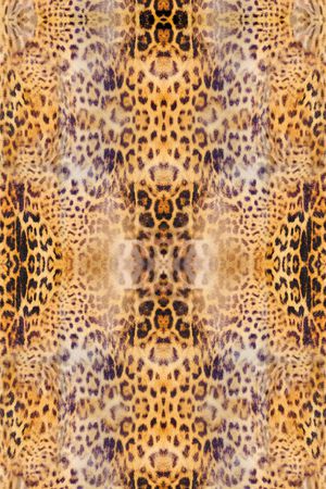 豹纹印花华亿平台图片