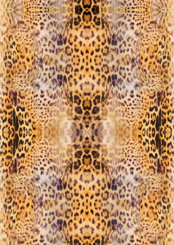 豹纹印花华亿平台图片