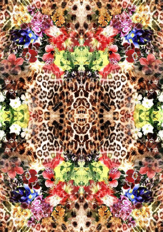 豹纹印花华亿平台图片