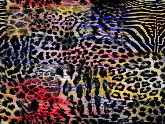 五彩豹纹印花华亿平台图片