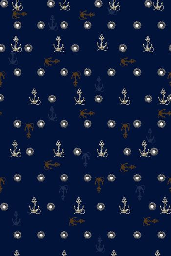 378319-波点菊花.,