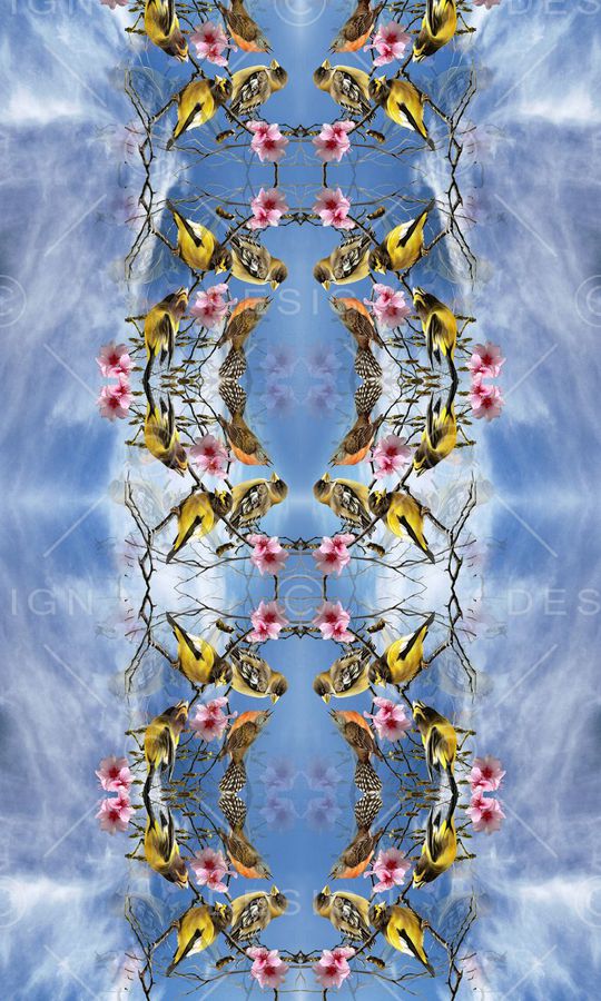 蓝天印花华亿平台图片