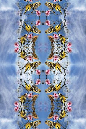 蓝天印花华亿平台图片