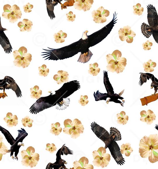 鹰印花华亿平台图片