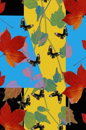 动物印花华亿平台图片