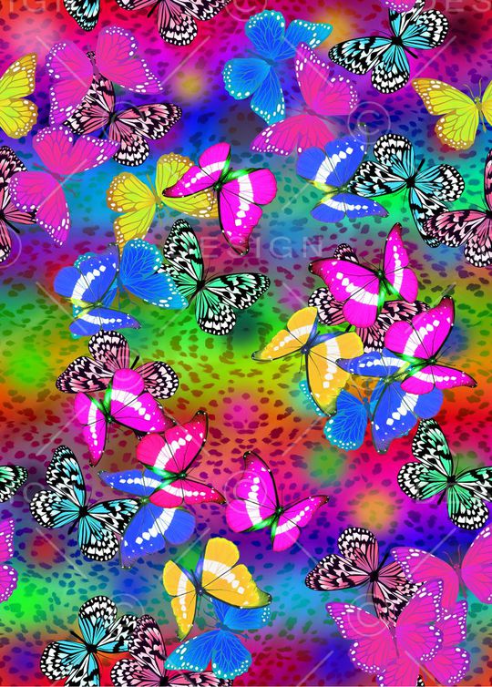 蝴蝶印花华亿平台图片