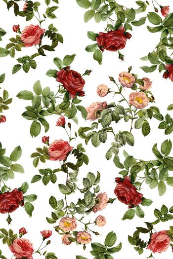 378483-花卉，复古