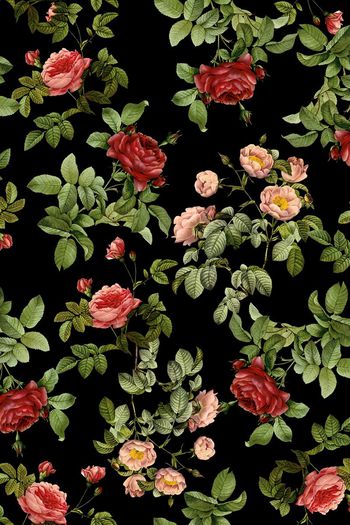 378484-花卉，复古