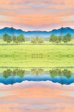 绿色印花华亿平台图片