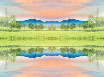 绿色印花华亿平台图片