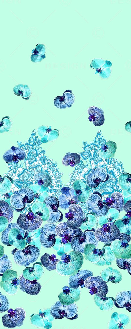 蝴蝶兰印花华亿平台图片