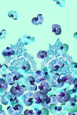 蝴蝶兰印花华亿平台图片