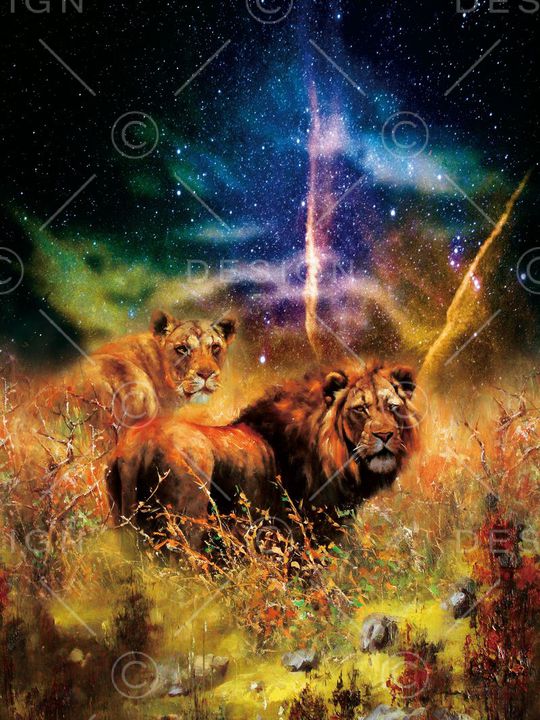 动物印花华亿平台图片