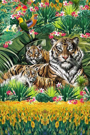 动物印花华亿平台图片