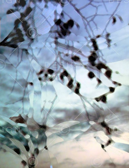 清新印花华亿平台图片