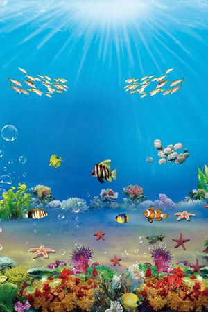 海底印花华亿平台图片