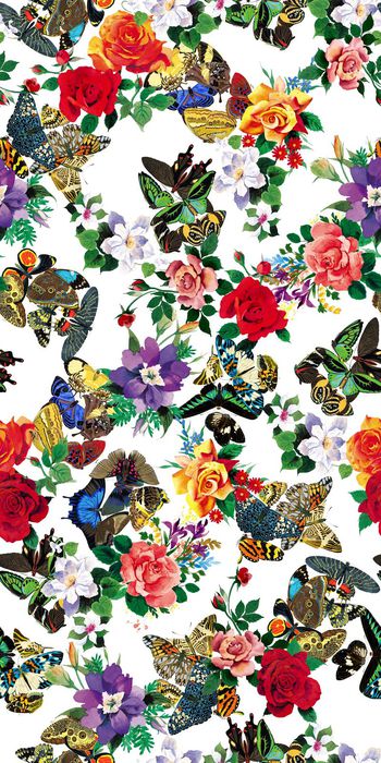 379171-手绘水彩花卉玫瑰花缤纷蝴蝶