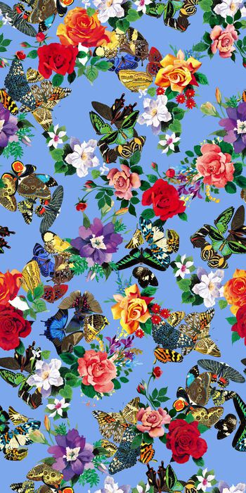 379172-手绘水彩花卉玫瑰花缤纷蝴蝶