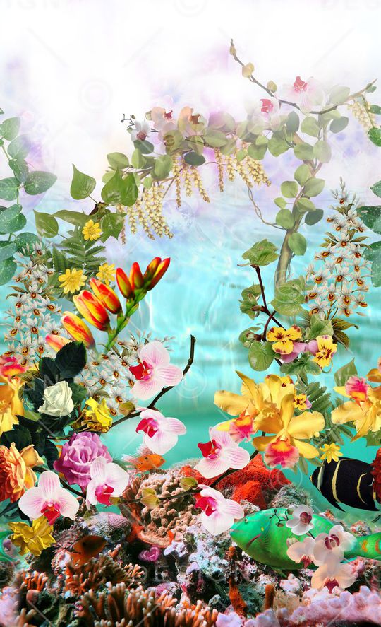 热带风印花华亿平台图片