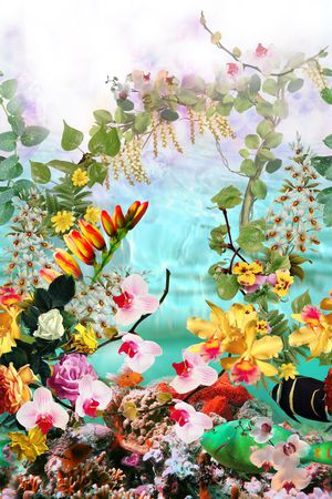 热带风印花华亿平台图片