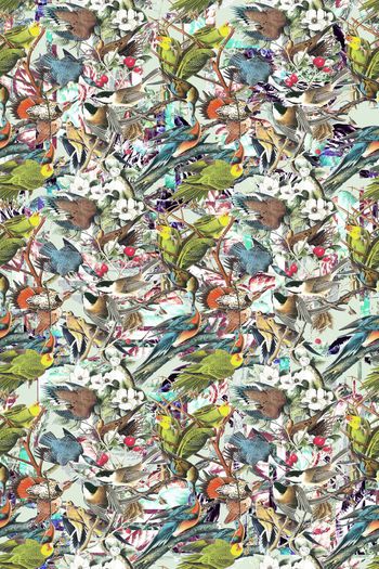 379299-WT431休闲雀鸟纹理怀旧假日风印