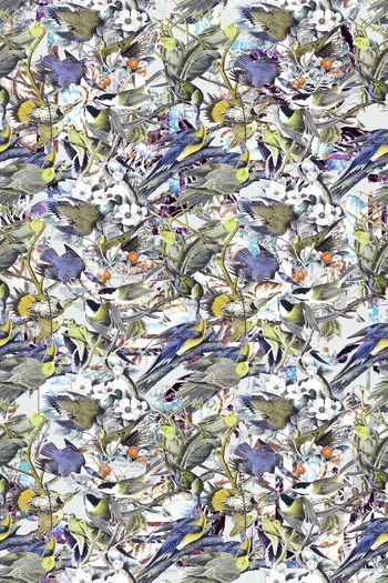 379300-WT431休闲雀鸟纹理怀旧假日风印