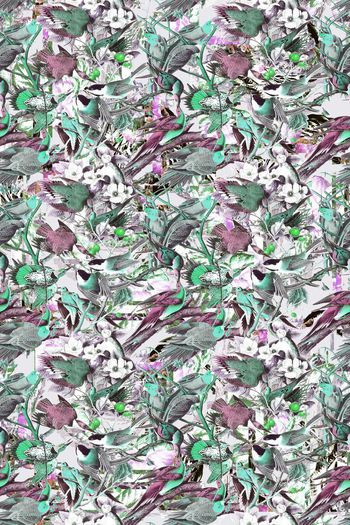 379301-WT431休闲雀鸟纹理怀旧假日风印