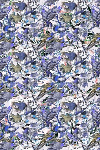 379302-WT431休闲雀鸟纹理怀旧假日风印