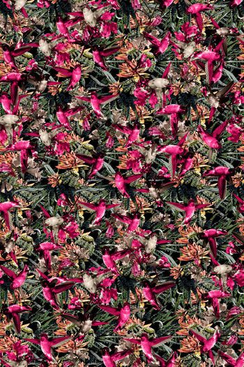 379306-WT432手绘风格雀鸟植物组合休闲