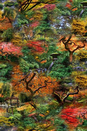 风景印花华亿平台图片