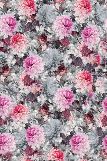 379461-WT436休闲优雅牡丹月季花卉印花