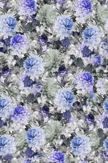 379462-WT436休闲优雅牡丹月季花卉印花