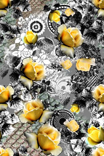 欧时力、地素、MO&CO风格印花华亿平台图片