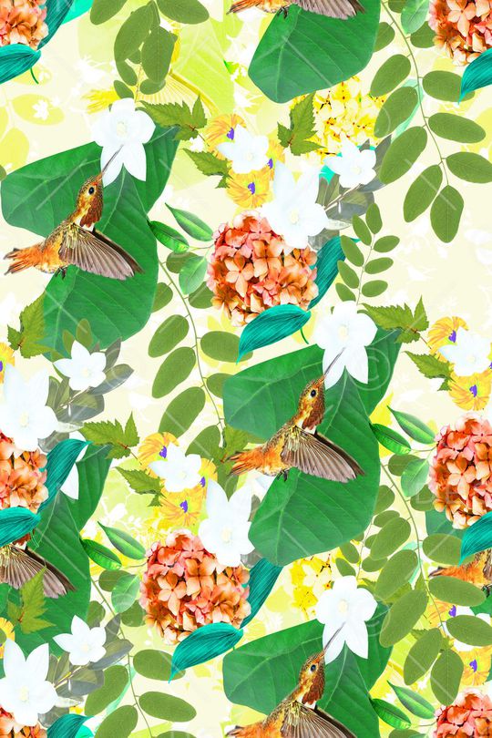 蜂鸟印花华亿平台图片