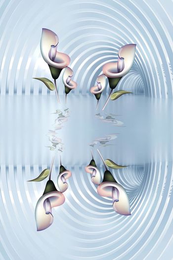 马蹄花印花华亿平台图片