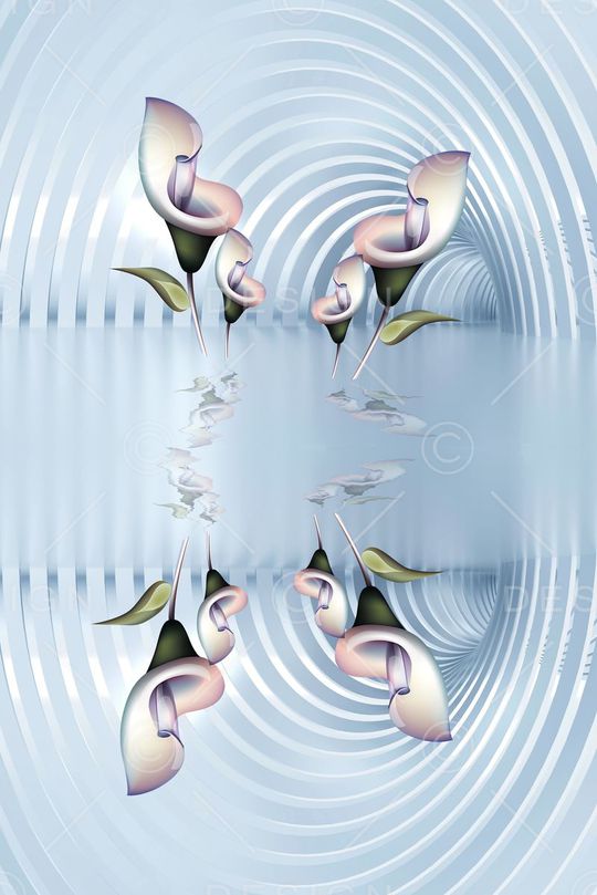 马蹄花印花华亿平台图片