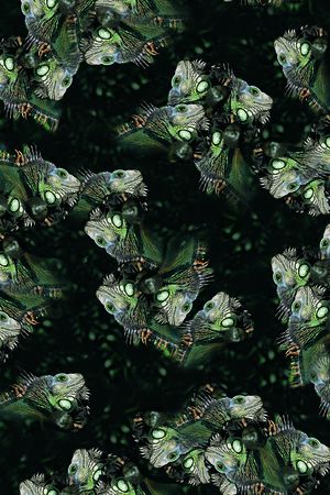 潮流印花华亿平台图片