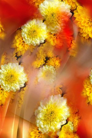 女装印花华亿平台图片