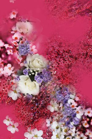 女装印花华亿平台图片