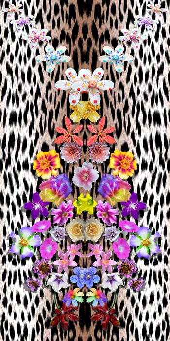 379690-动物纹定位