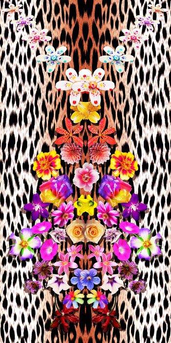 379691-动物纹定位