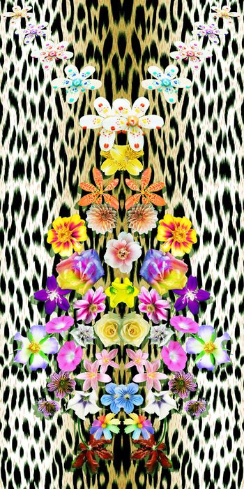 379692-动物纹定位