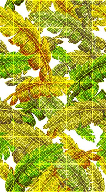 379694-机理格子花卉服装 一花2色