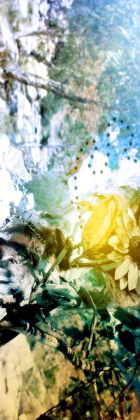 数码印花华亿平台图片