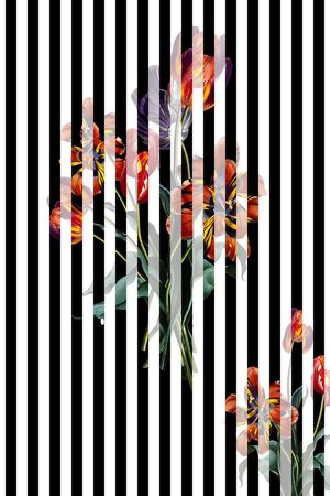 黑白线条印花华亿平台图片