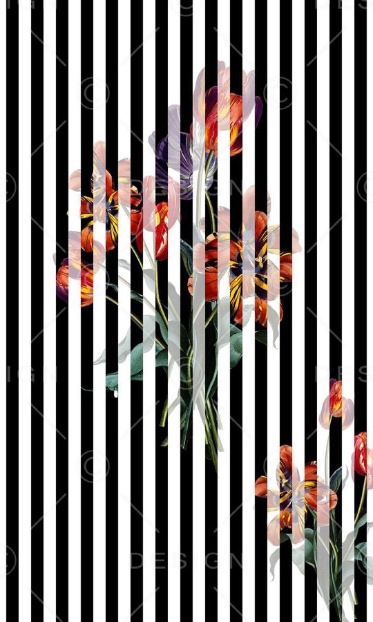 黑白线条印花华亿平台图片