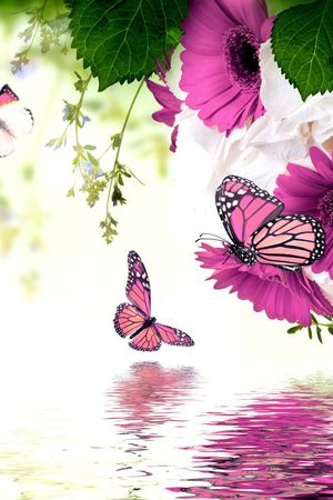 数码印花华亿平台图片