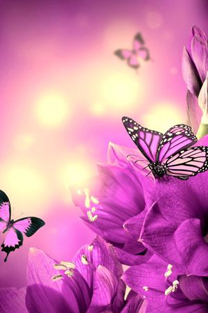 数码印花华亿平台图片